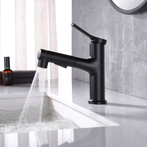 Bathroom Sink Faucet With Pull Out Spray Everything Bathroom